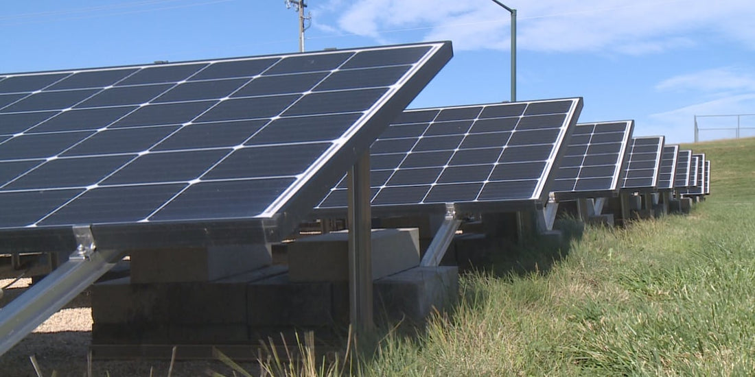 Wonderstate Coffee - Brewing Change with Solar Power