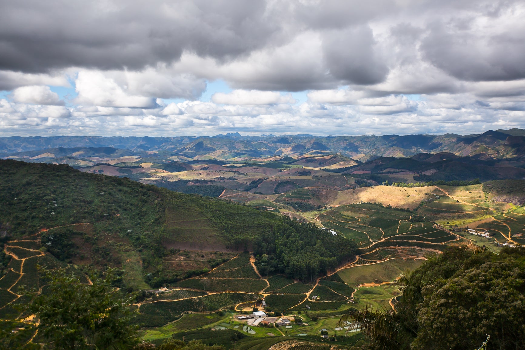 Coffee's Bright Future - How Organizations Are Brewing Change