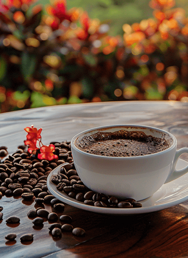 Costa Rica La Candelilla Geisha Natural - 94 pts