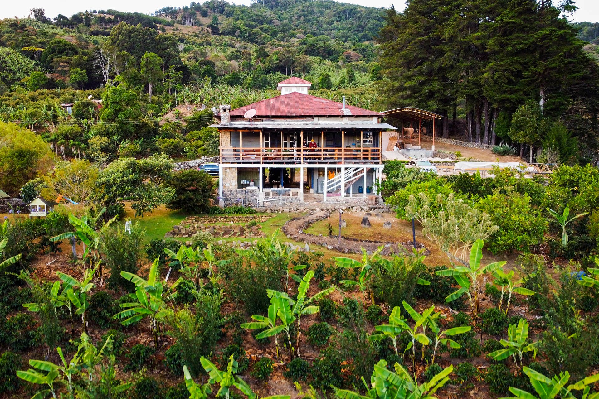 Volcanic Vistas - Brewing the World's Finest Coffee