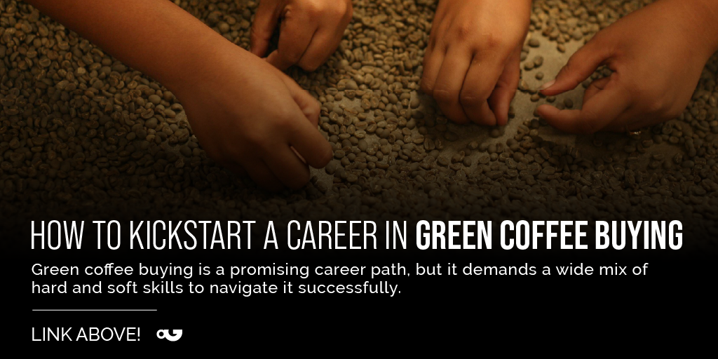 Navigating the Path to Green Coffee Buying Success