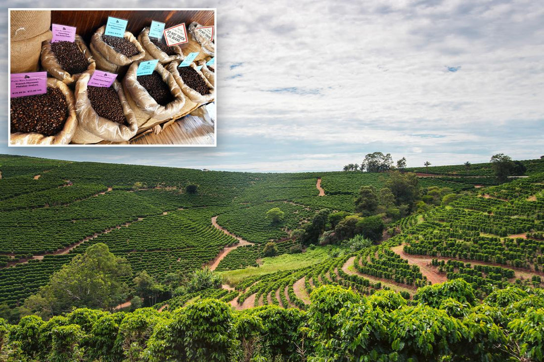 Coffee Prices Surge - What You Need to Know