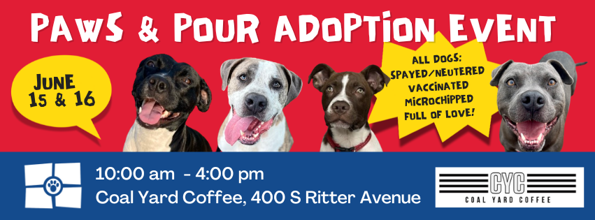 Paws & Pour - Adopt a Dog and Enjoy Coffee in Indianapolis This Weekend