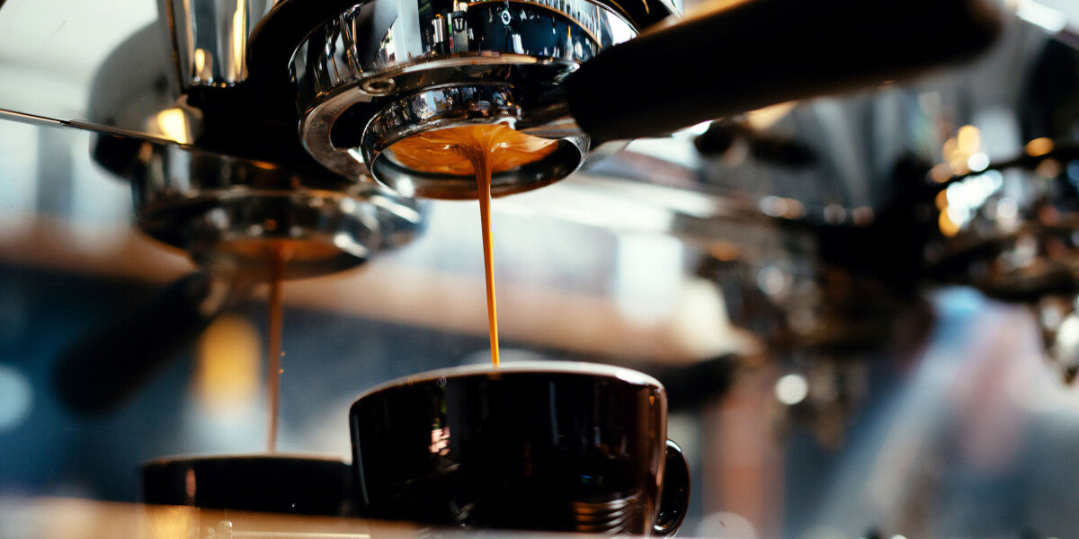 Affordable Coffee Surprises - Quality Over Price in French Study