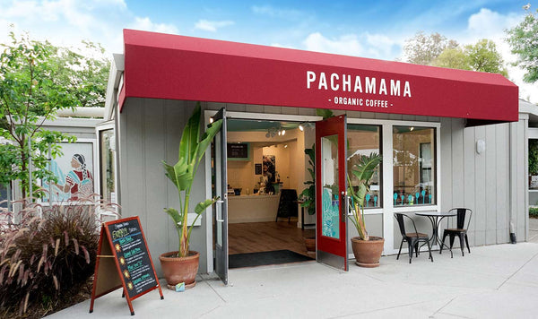 Pachamama Coffee Triumphs at 2024 Sustainable Food Awards