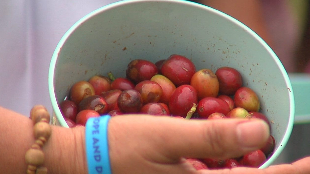 Hawaiian Coffee Labeling Act Takes Effect