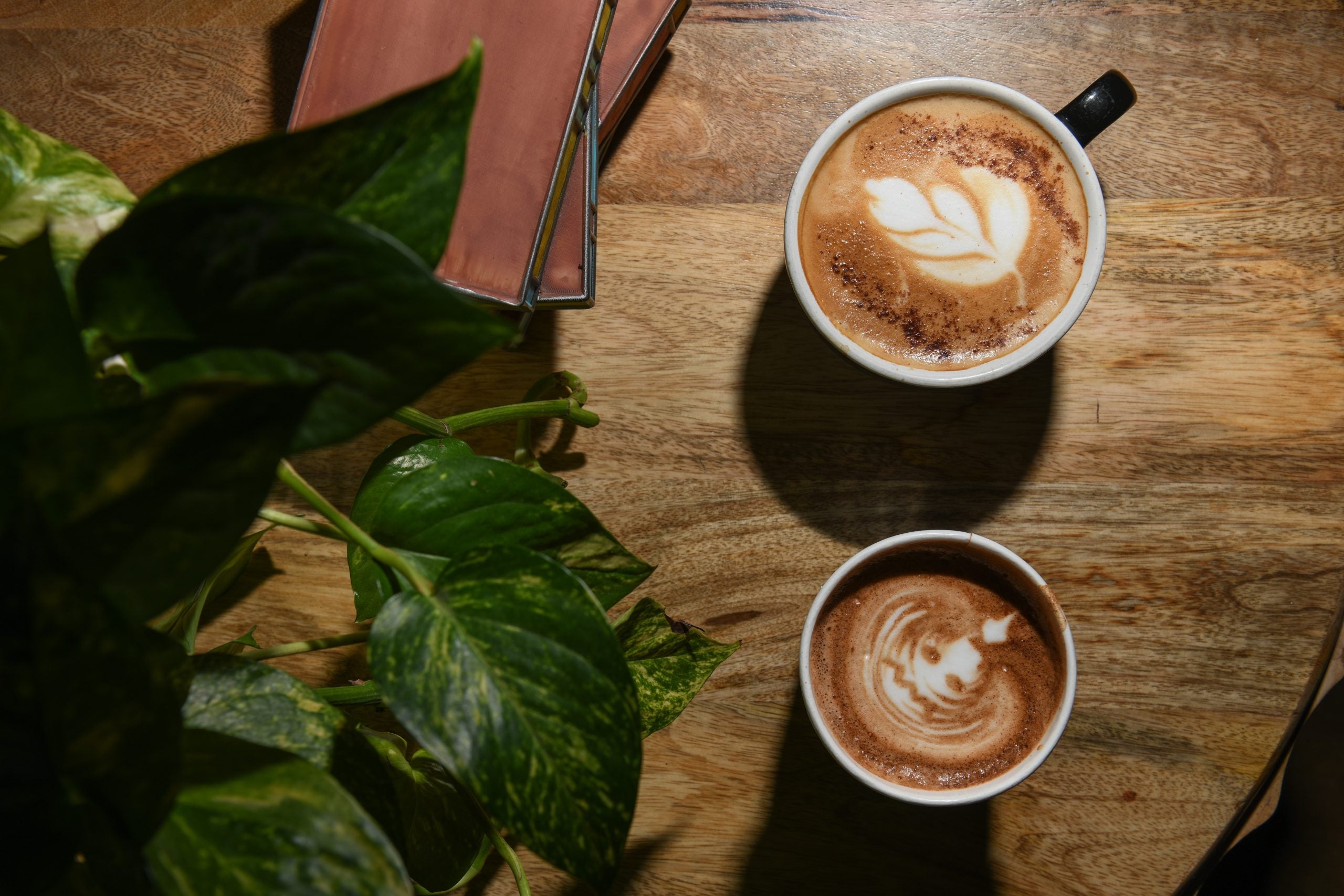 Fall Flavors - Top Coffee Shops in Park City to Celebrate National Coffee Day