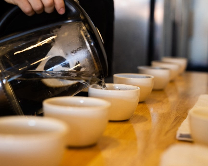 Moxie Coffee Co. Wins Gold at Global Coffee Awards for Innovative Brew