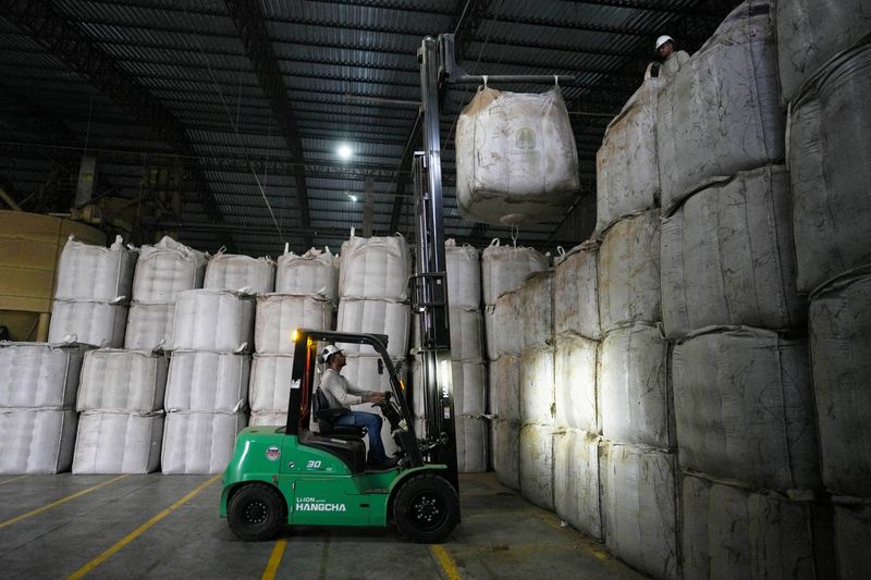 Rare Eugenioides Coffee Set to Transform Brazil's Coffee Market