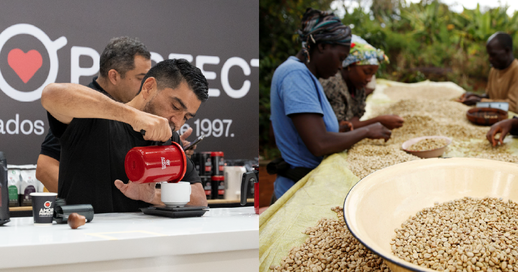 Freshly Roasted Coffee at Origin - A Taste of Quality and Complexity