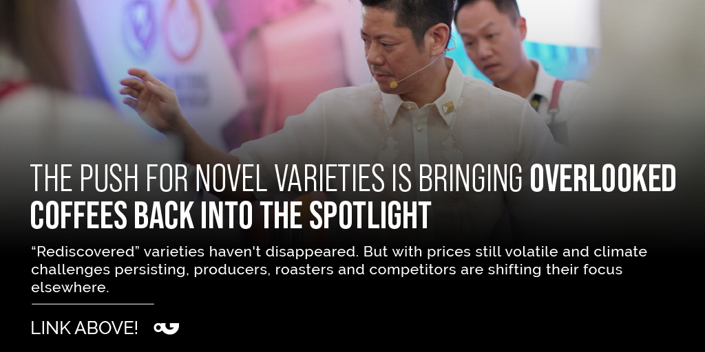 Coffee's New Chapter - Blending Tradition with Innovation