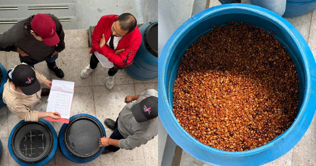 Innovations in Coffee Processing - Trends and Challenges Ahead