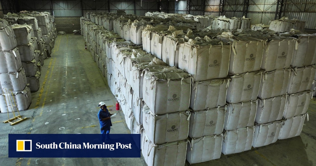 Brazil Coffee Exports Surge as China Opens Doors Amid US Tariffs