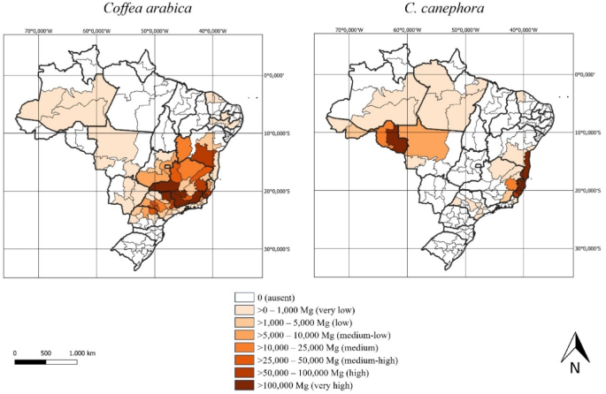 Brazil's Coffee Landscape - A Deep Dive into Production and Quality
