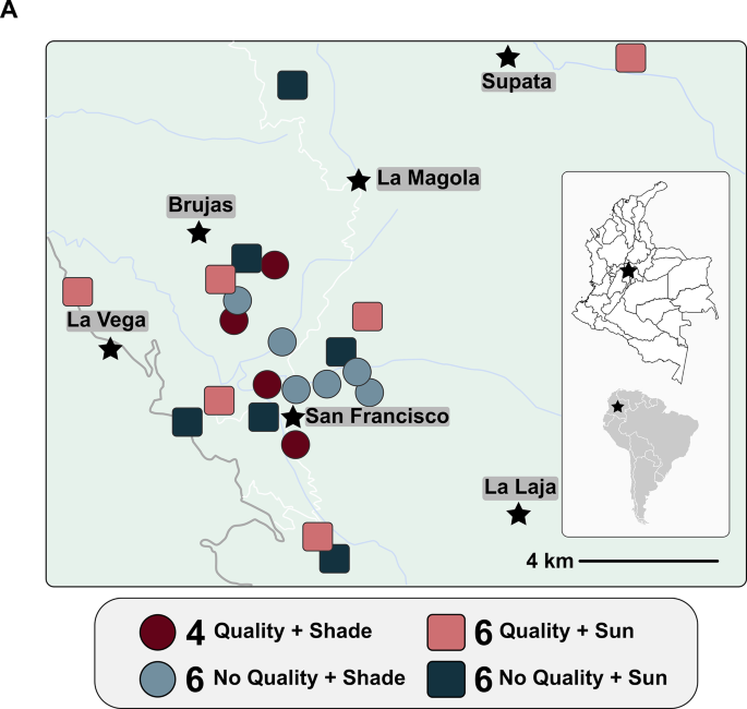 Bacterial Communities and Coffee Flavor - A Study on Colombian Arabica