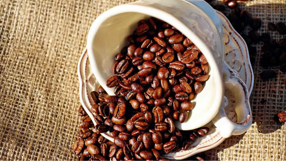 Caffeine - A Daily Brew to Battle Parkinson's?