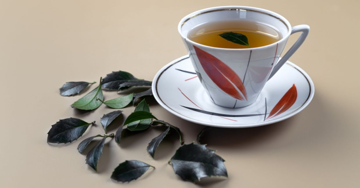 Yaupon Holly - The Next Big Thing in Caffeinated Drinks