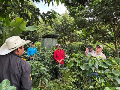Building a Climate-Smart Future for Coffee in Honduras