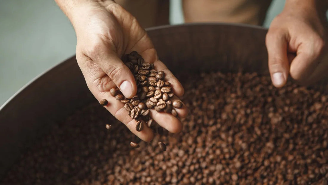 Brazil Cuts Import Taxes on Essential Foods to Lower Prices