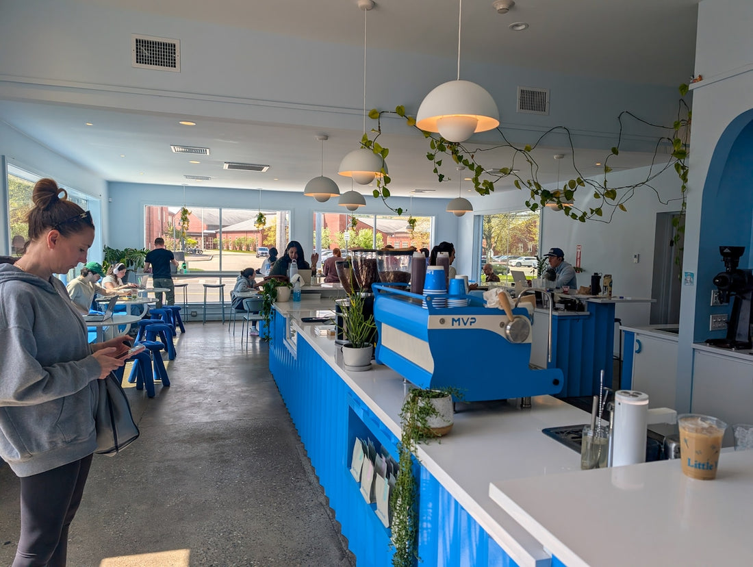 Discover the Best Coffee at Little Wolf in Massachusetts