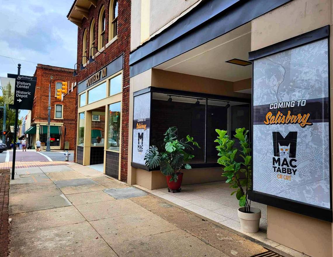 Cat Cafe Craze - Mac Tabby Expands to Salisbury