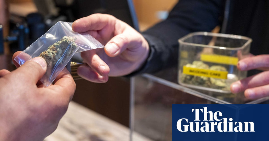 Contaminants Found in Dutch Cannabis - A Call for Safer Practices