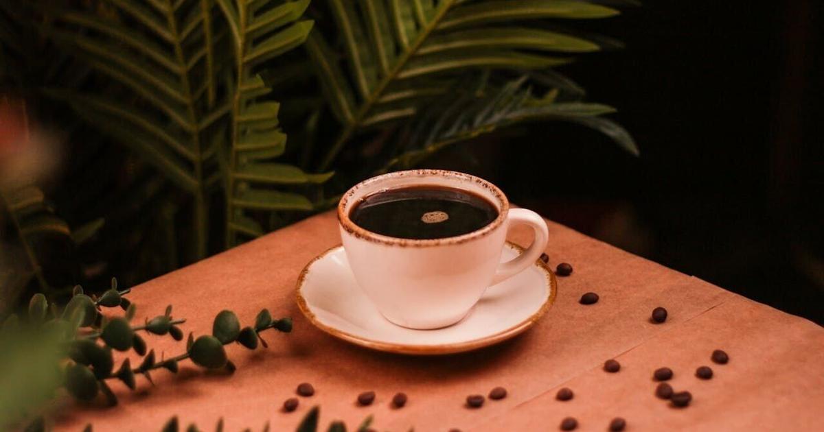 Coffee Lovers Reveal Their Brew Preferences and Daily Rituals