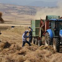 Climate Change Paves the Way for Coffee Farming in Türkiye