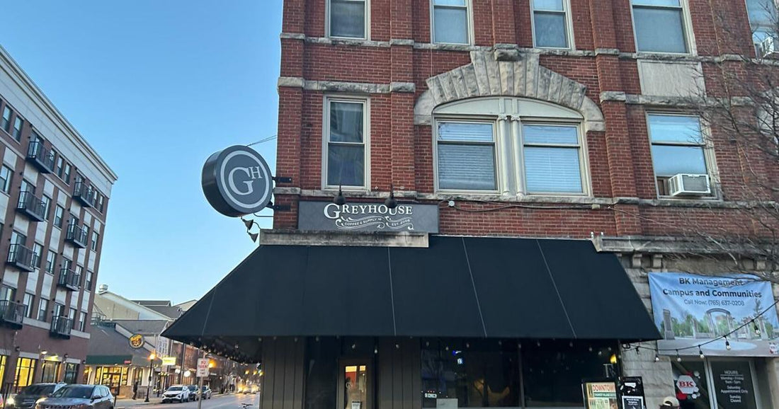 Greyhouse Coffee Reopens with a Fresh Look After Renovations