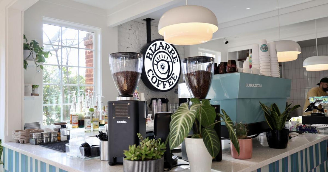 Bizarre Coffee - Brewing Joy One Cup at a Time