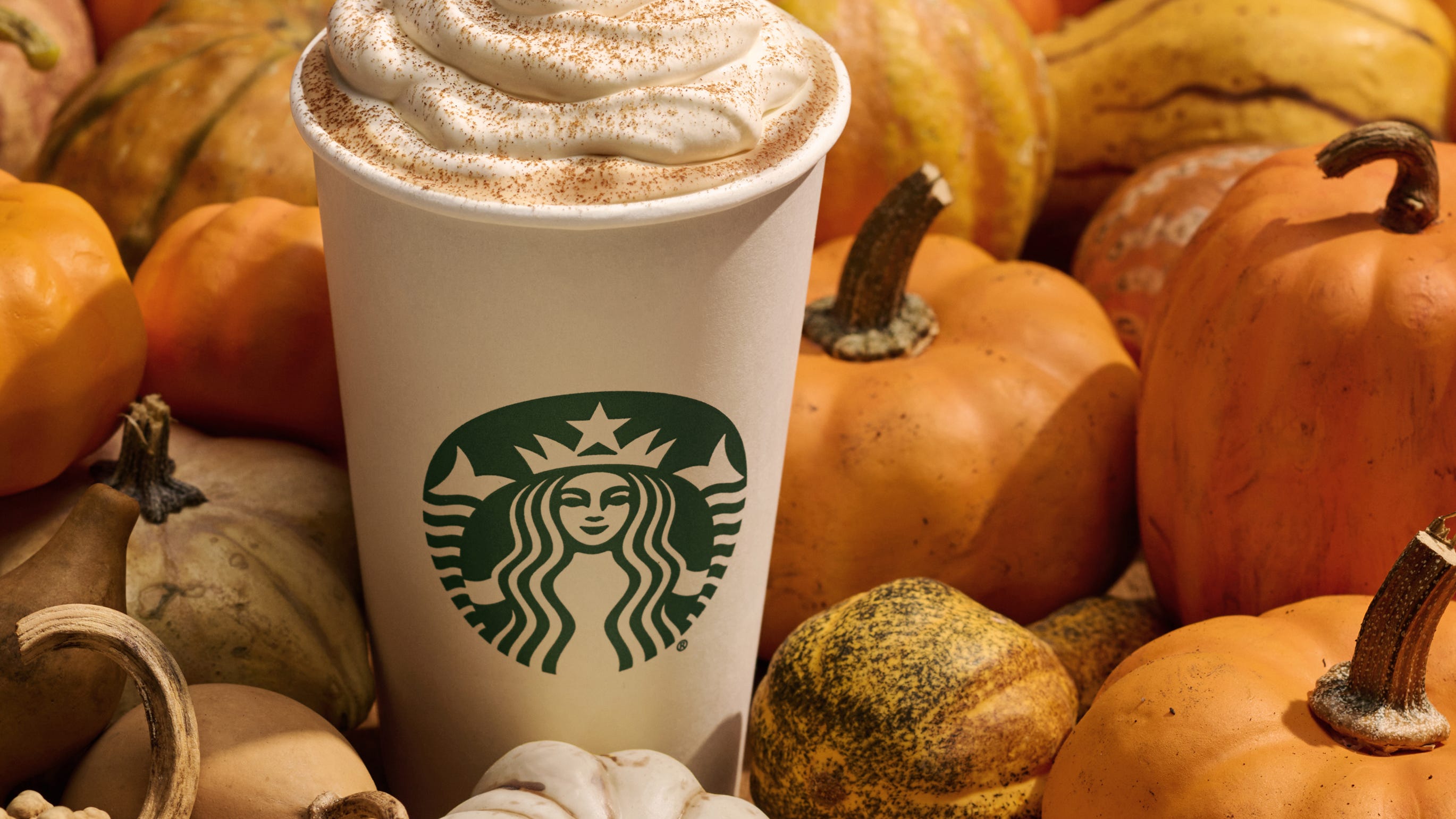 Autumn's Favorite Flavor - When to Get Pumpkin Spice Treats
