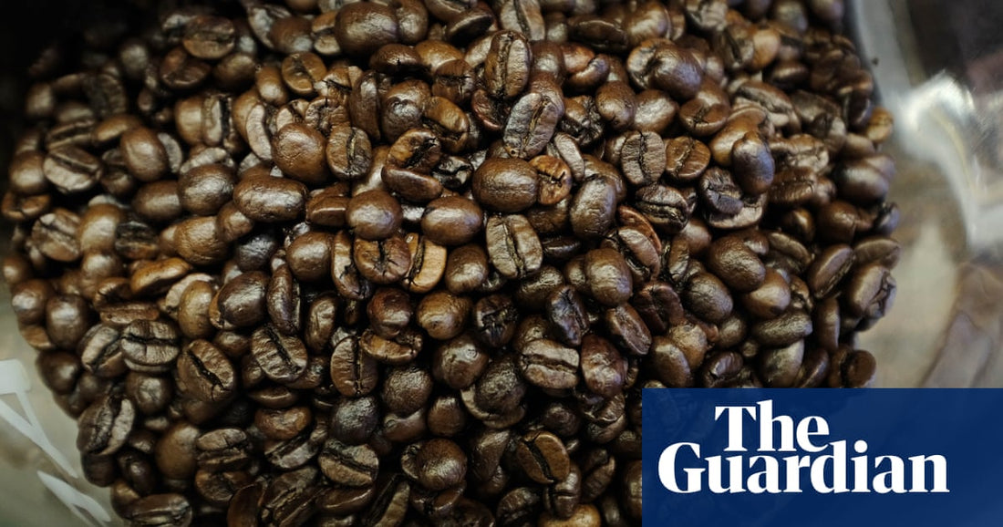 Foods Contaminated with PFAS - New Study Highlights Unexpected Sources