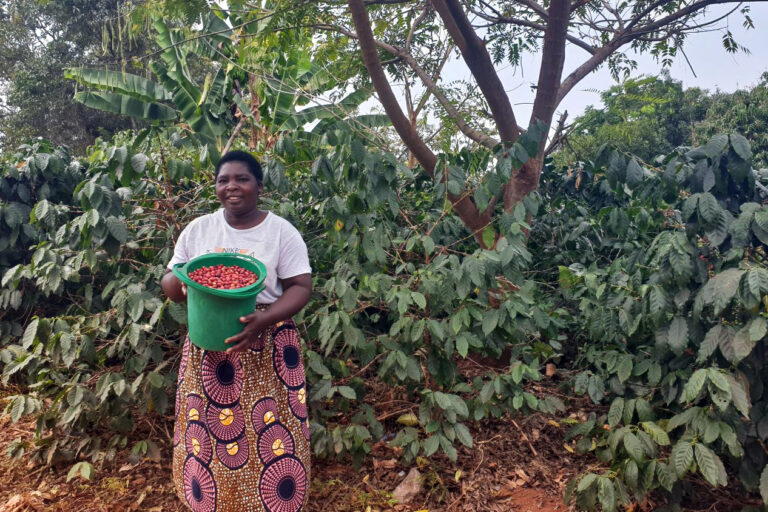 Transforming Coffee Farming in Malawi - A Sustainable Future