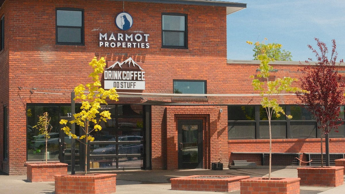 Free Coffee Celebration at Drink Coffee Do Stuff's New Reno Location