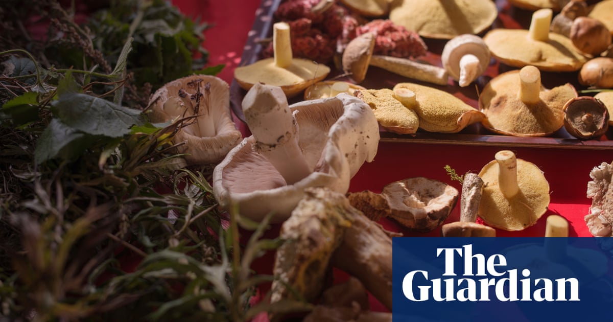 Mushroom Coffee Craze Hits the UK - Is It Worth the Hype?