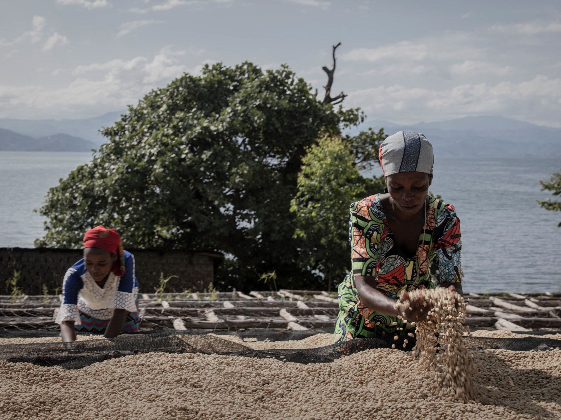 Local Cooperatives Empower Women Farmers in Conflict-Ridden Eastern DRC
