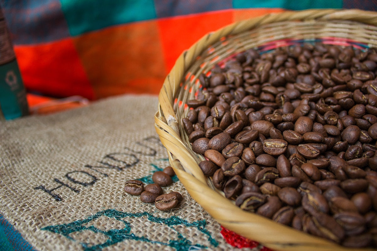 Honduras Strengthens Coffee Commitment with International Agreement