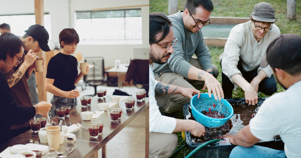 Quality Coffee - The Heartbeat of Specialty Cafés