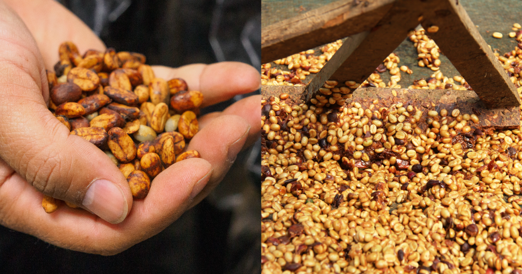 Infused Coffees - Innovation or Deception in Specialty Coffee?