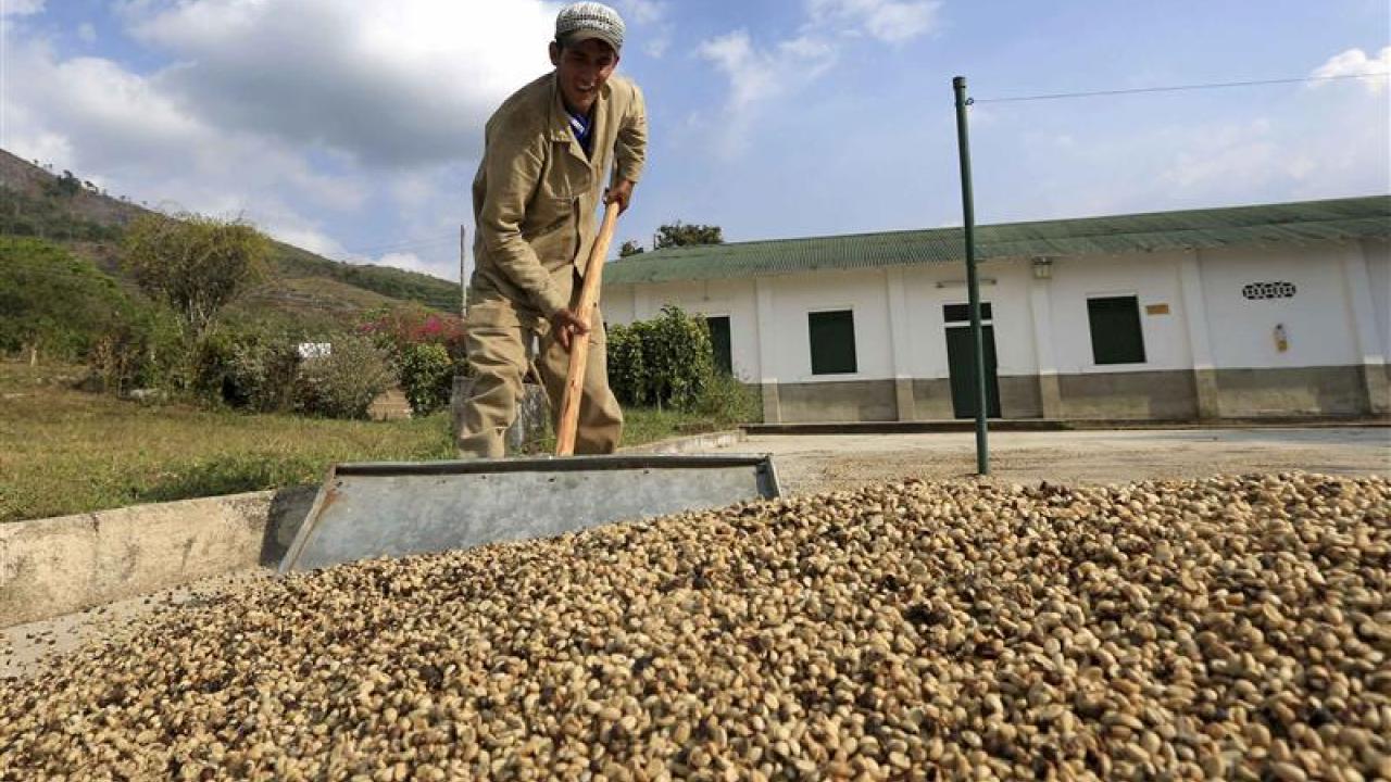 Telefónica's NFTs Aim to Brew a Sustainable Coffee Revolution