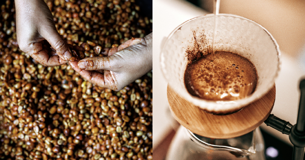 Bold Flavors or Shortcuts? The Co-Fermentation Coffee Debate