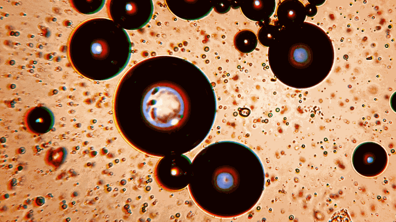 Synthetic Coffee - The Future of Beanless Brews