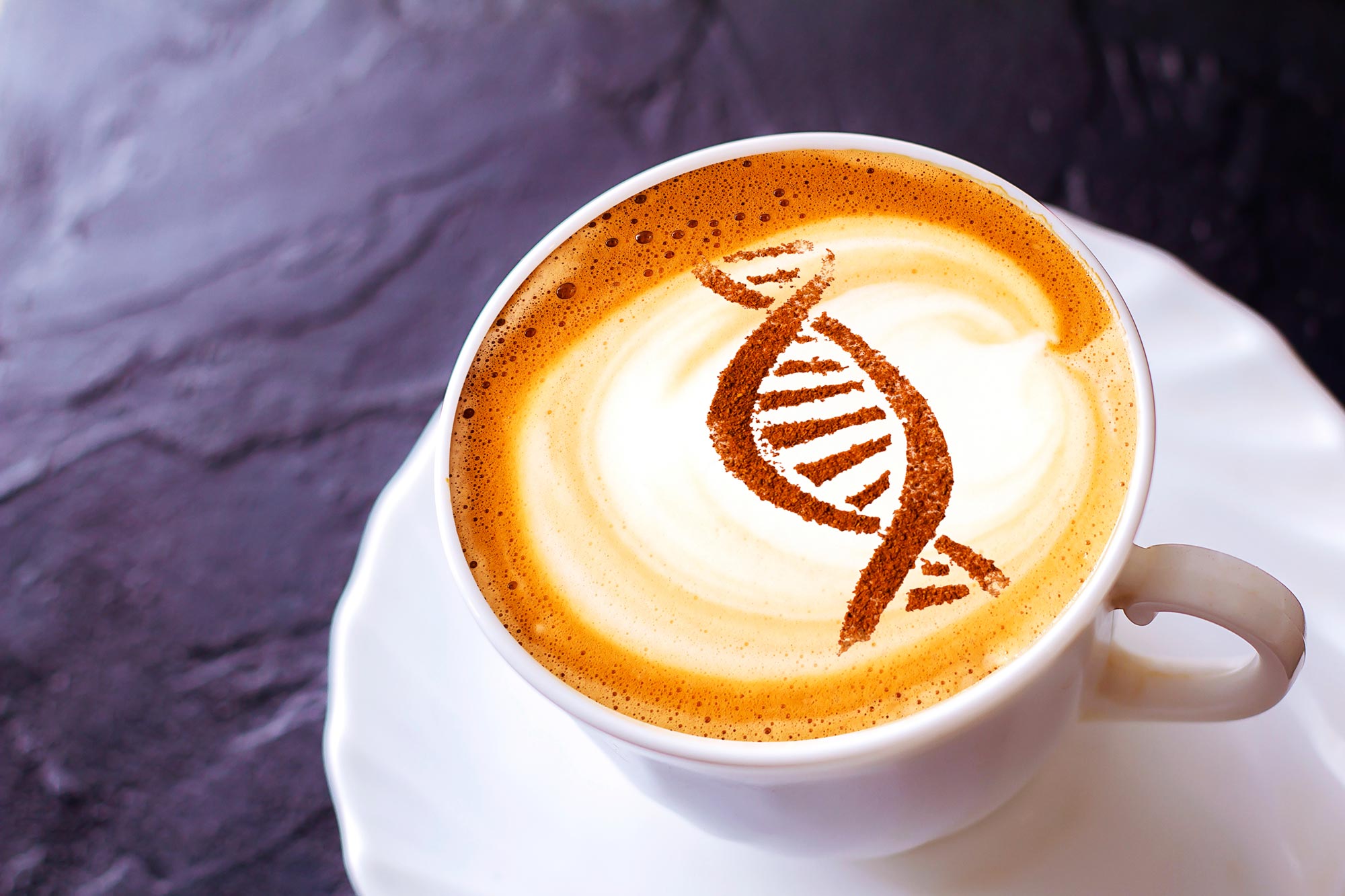 Caffeine's Hidden Powers - How It Affects Cell Health and Longevity
