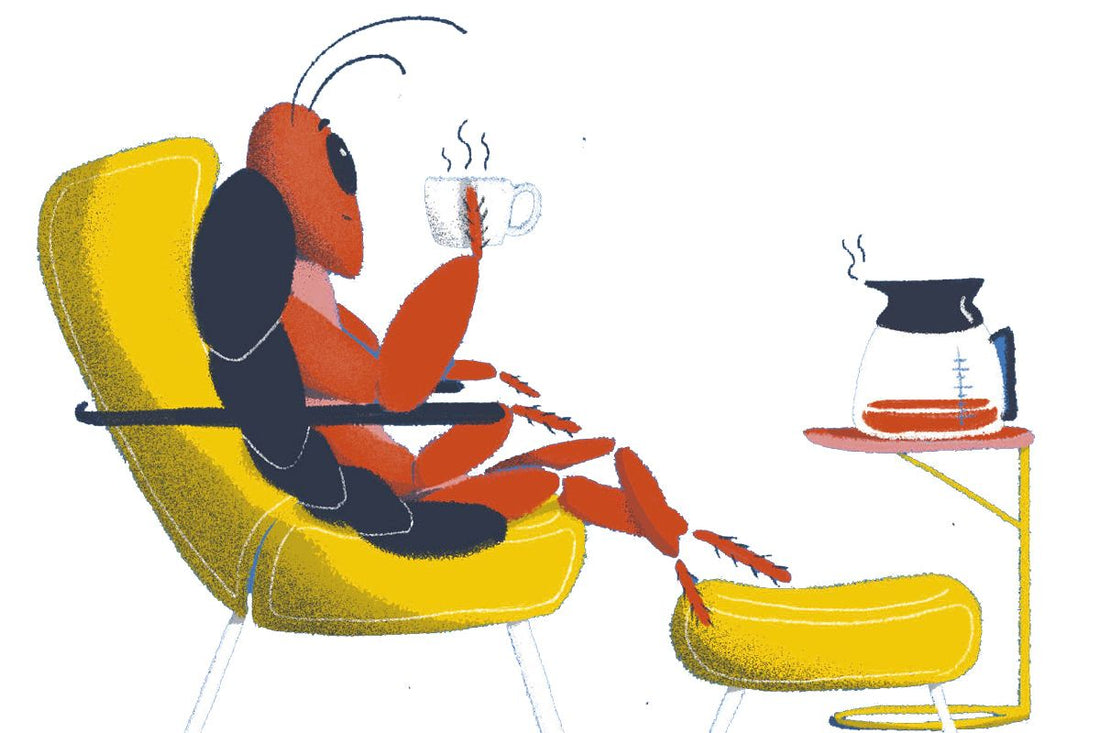 Are There Cockroaches in Your Coffee? The Truth Revealed