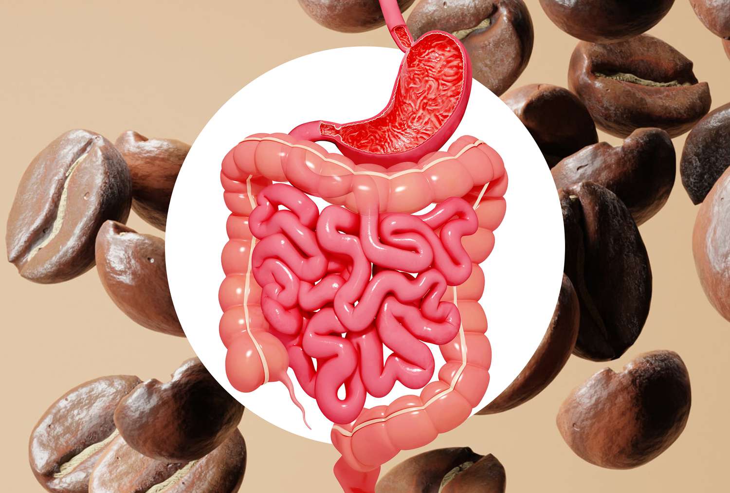 Coffee's Surprising Benefits for Your Gut Health