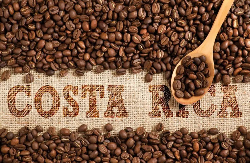 Costa Rica Brews Excitement with Upcoming Coffee Fair