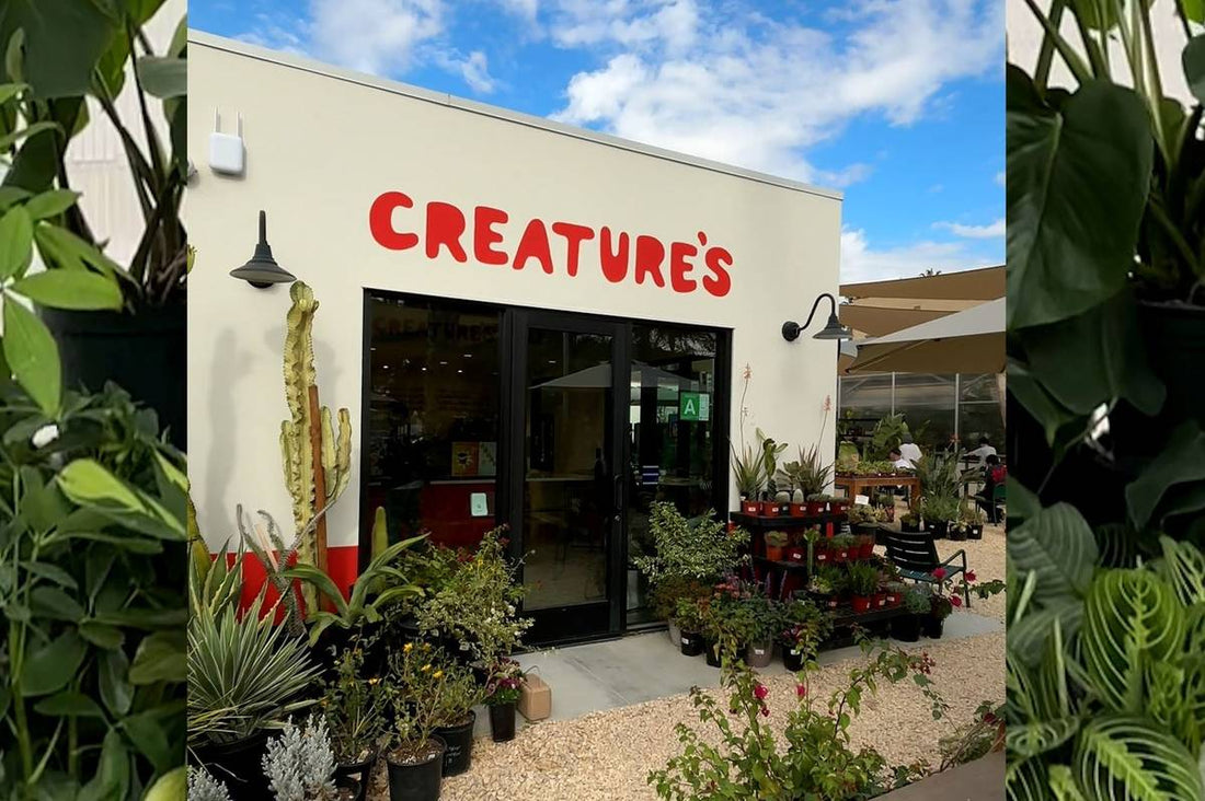Creature’s Plants & Coffee - A Unique Oasis in Eagle Rock