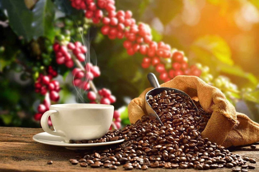 Coffee Prices Surge Amid Weather Woes and Harvest Concerns