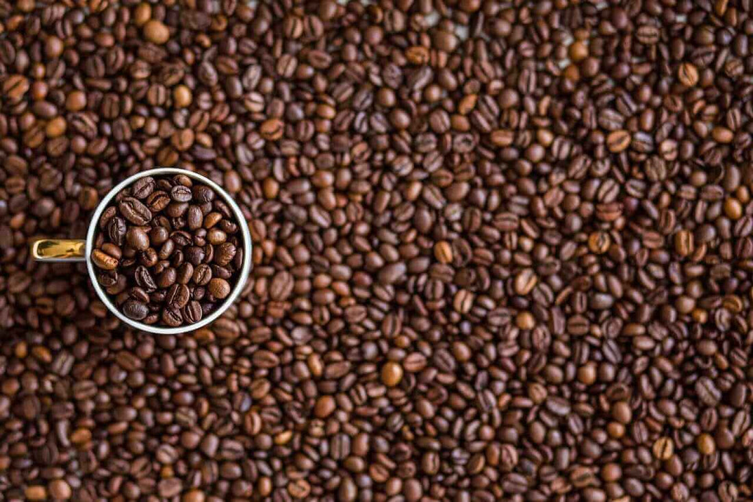 Coffee Prices Dip Amid Supply Changes and Production Forecasts