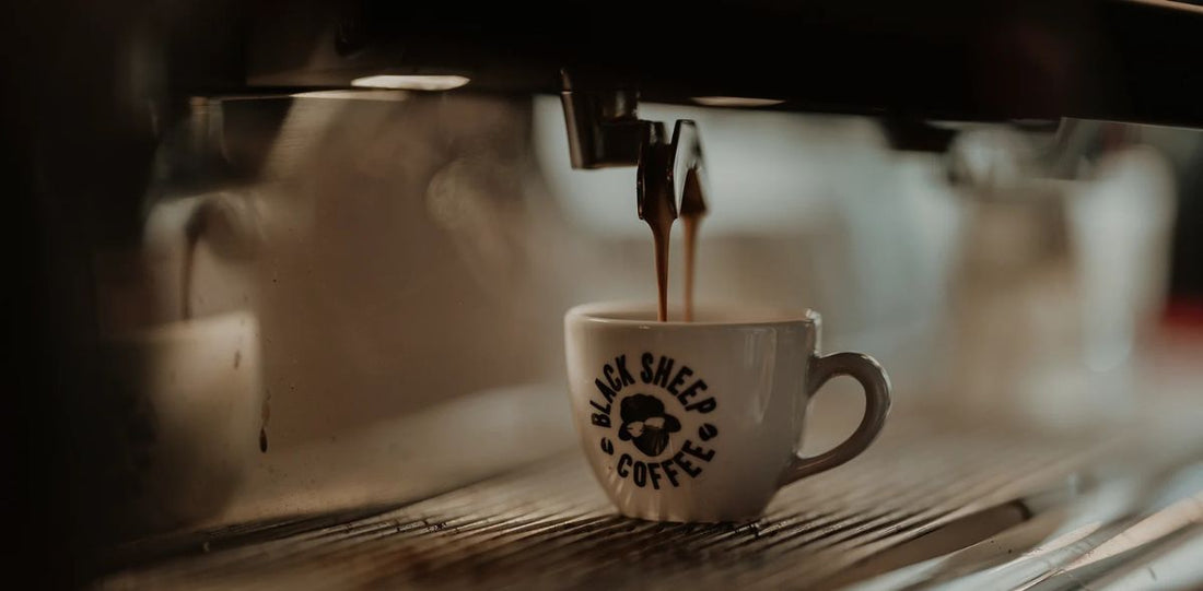 Black Sheep Coffee Brews Up Expansion in the U.S. Market